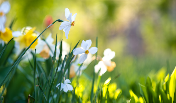 AdobeStock_477243895_600x350