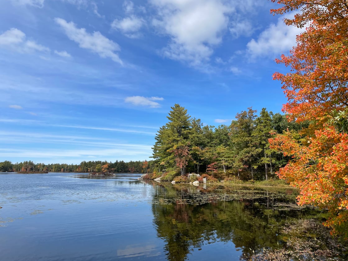 NHScenery-OctNewsletter