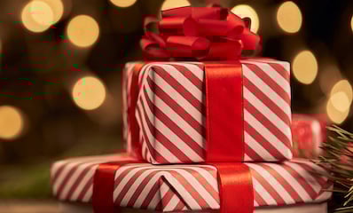 blog-giftguide2